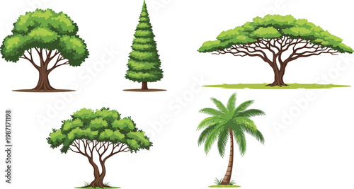 A vibrant illustration showcases a diverse collection of trees including a conical evergreen broadleaf specimens and a tropical palm high quality professional detailed