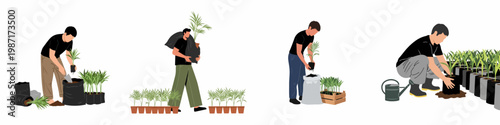 Collection of illustrations showing men working in a plant nursery, planting, transplanting, and carrying young saplings.