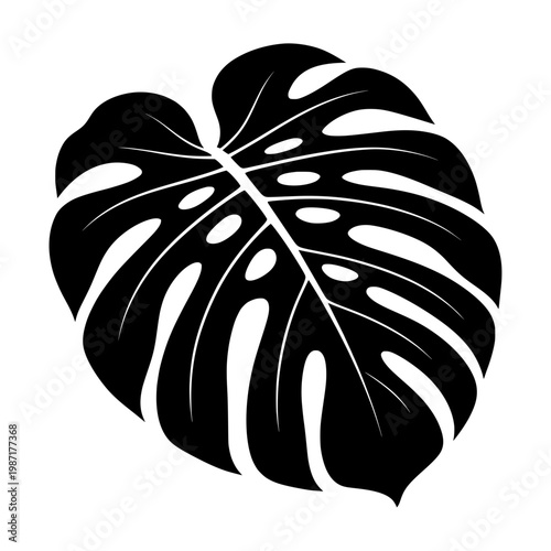 tropical leaves silhouette vector illustration 