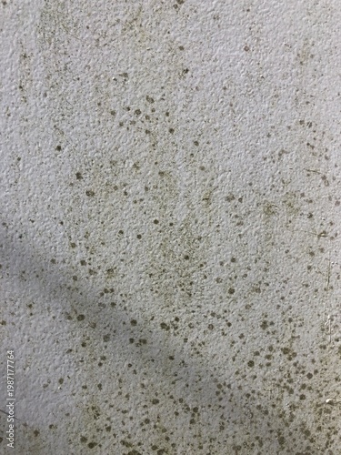 Fotografie Close-up black mold spots Damp damaged white textured wall, floor mildew, fungal
