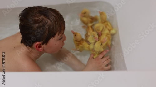 Cute little blond boy, playing with little ducklings in the bathtub at home, happiness. Child and animal interacting together