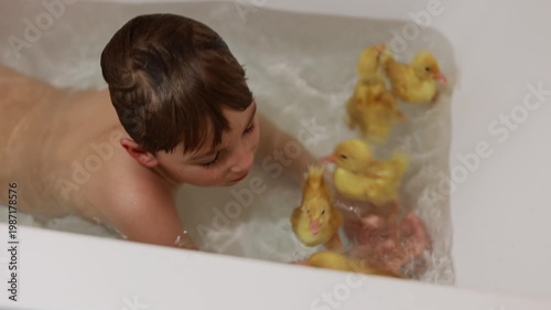 Cute little blond boy, playing with little ducklings in the bathtub at home, happiness. Child and animal interacting together