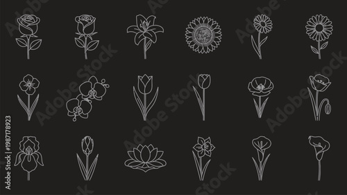 20 Floral Icons, Line Art Flowers, Vector Illustrations, Black Background
