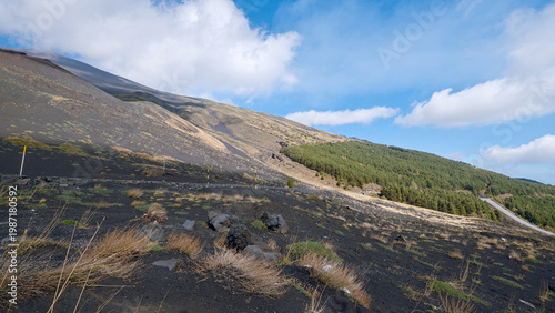 Near Cratere Silvestri, Etna, Sicily, Italy