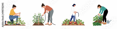 Set of Flat Vector Illustrations Featuring Women Using Various Gardening Irrigation Techniques and Tools to Water Growing Vegetable Plants in the Backyard.
