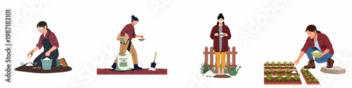 Illustrations of a female farmer applying agricultural lime to garden soil and young plants to improve growth and pH balance.