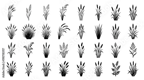 Variety of Grass and Plant Silhouettes.