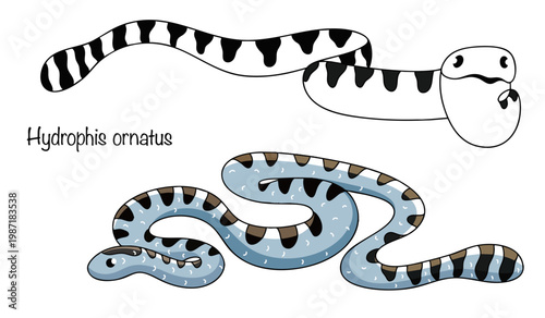 Hydrophis ornatus