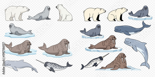 Arctic animals set: polar bears, seals, walruses, narwhals, and beluga whales on ice and in water.
