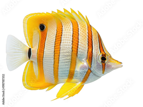 A collection of wooden paintbrushes with yellow handles and bristles