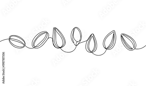 Continuous line seeds illustration with abstract botanical grain forms and natural growth concept vector design
