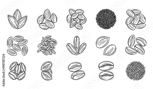 Seeds line art icon set with botanical grain illustrations and minimal color agricultural vector collection design