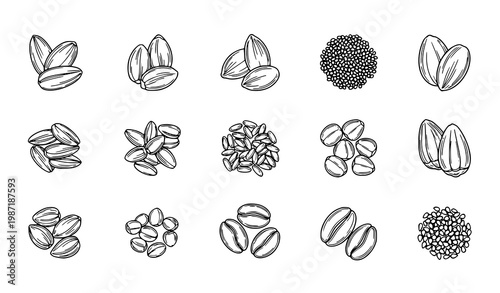 Seeds line art vector set with detailed botanical seed illustrations and natural grain collection design