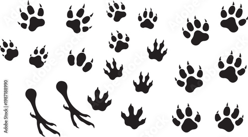 Comprehensive arrangement of black animal paw prints, shoe prints, and silhouettes of deer, foxes, and rabbits on a white background Keywords: paw print, animal tracks, footprint, shoe print