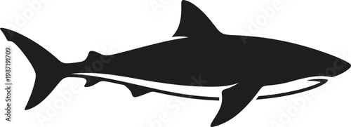 Black shark vector graphic illustration with white underbelly