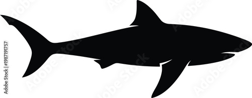 Black shark vector illustration swimming on white background