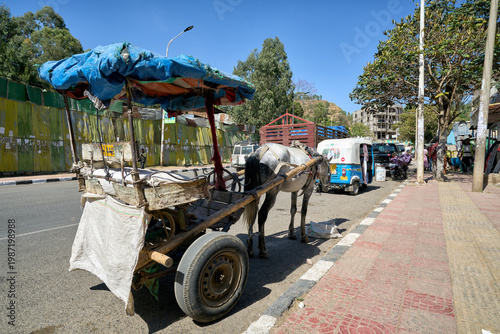 Obraz na płótnie Traditional horse carriage Gari on a city street in Ethiopia