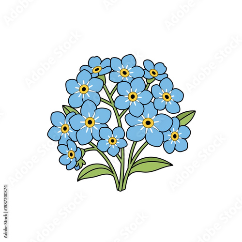 A charming cluster of blue forget-me-not flowers with delicate yellow centers