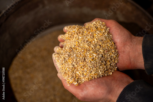 Fotografía Hands holding crushed grain feed mixture over a large metal container, showing prepared livestock feed in farm conditions