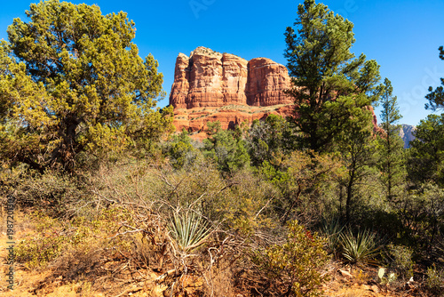 Sedona Arizona Landscape