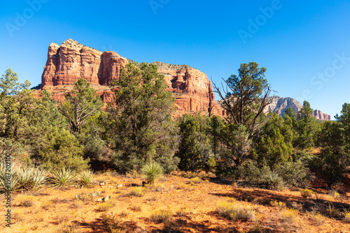 Sedona Arizona Landscape