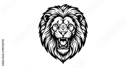 Black and white lion head portrait.