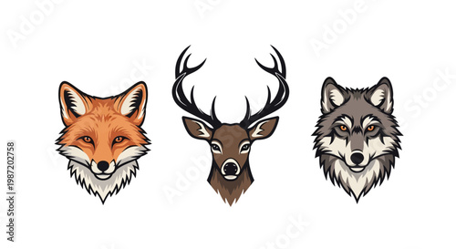 Fox Deer Wolf Animal Heads Illustration.