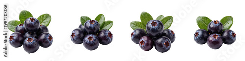 Arrangement of blueberries with leaves on black background offer a vibrant and refreshing image
