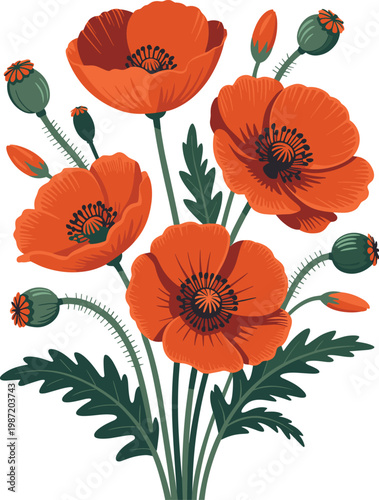Vibrant Red Poppies with Buds and Leaves, Isolated on White Background, Stock Illustration