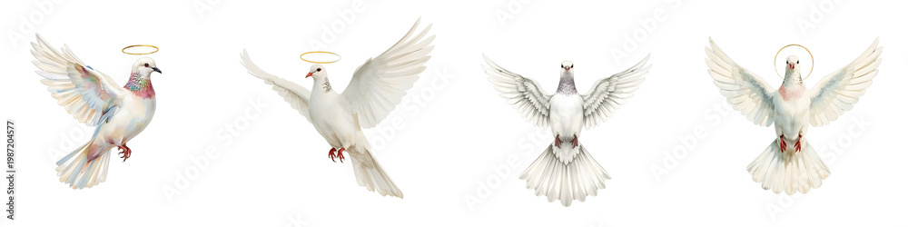 Fototapeta premium Four white doves fly in front of a black backdrop with golden halos overhead