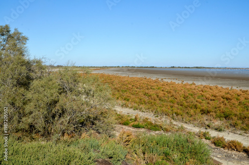 Camargue,