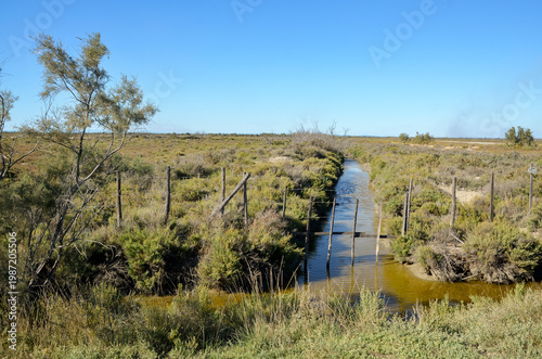 Camargue,