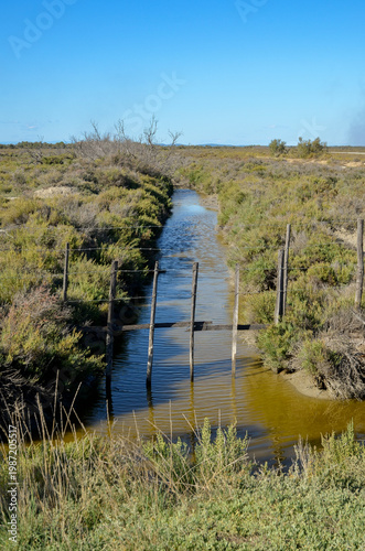 Camargue,