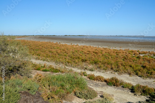 Camargue,
