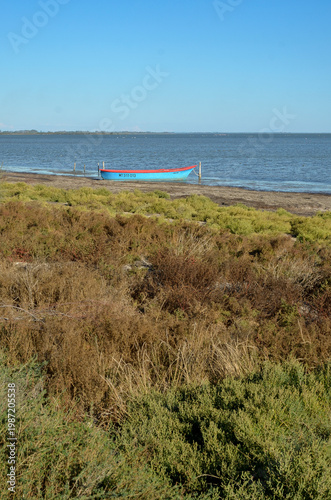 Camargue,