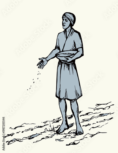 Vector drawing. A man sowing wheat