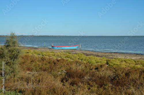 Camargue,