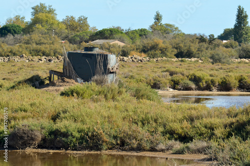Camargue,