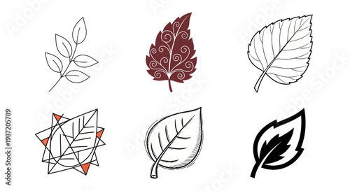 Set of unique artistic leaf icons isolated on white background depicting diverse plant species and art styles.