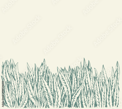 Vector grass background with space for text.