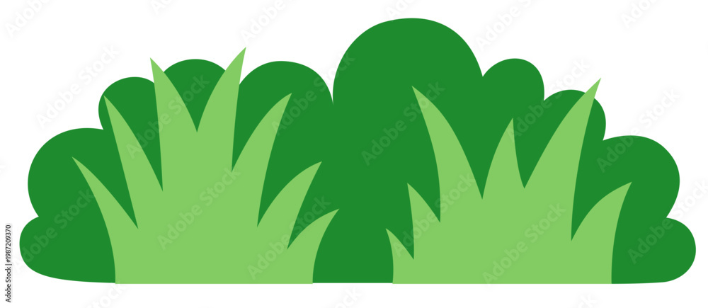 Fototapeta premium Garden green bush. Green bush and grass element.
