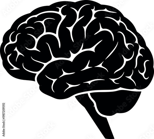 Black silhouette of human brain, medical illustration, science, biology, psychology symbol, intelligence.