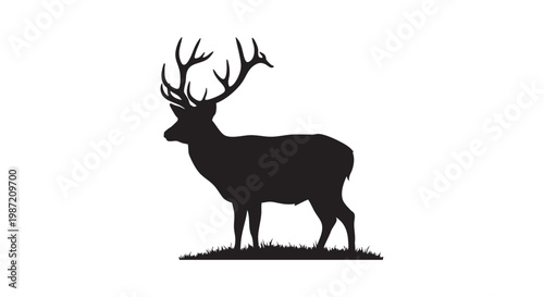 Deer silhouette standing on grass with large antlers in wild nature landscape profile view isolated on white background.