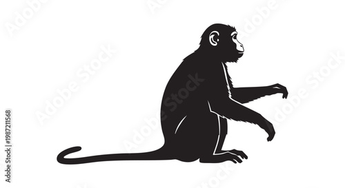 Monkey silhouette isolated on white background, black primate sitting profile, animal vector illustration.