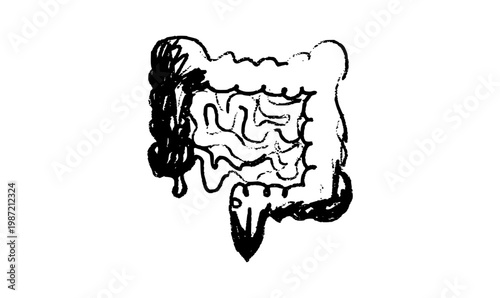 Human intestine sketch