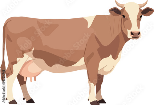 Photos Brown and White Dairy Cow Vector Illustration Isolated on White Background