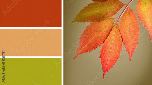 Autumnal Harmony A Study in Warm Hues and Natural Beauty.