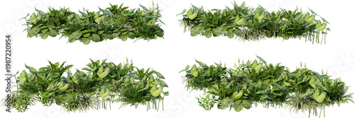 A small garden decorated with many plants on a transparent background.