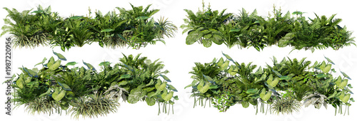 A small garden decorated with many plants on a transparent background.