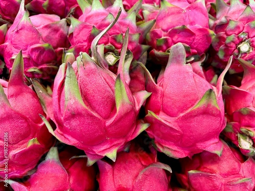 A lot of dragon fruit 